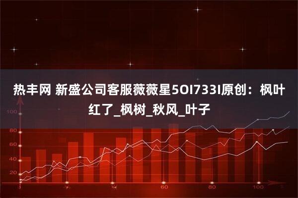 热丰网 新盛公司客服薇薇星5OI733I原创：枫叶红了_枫树_秋风_叶子