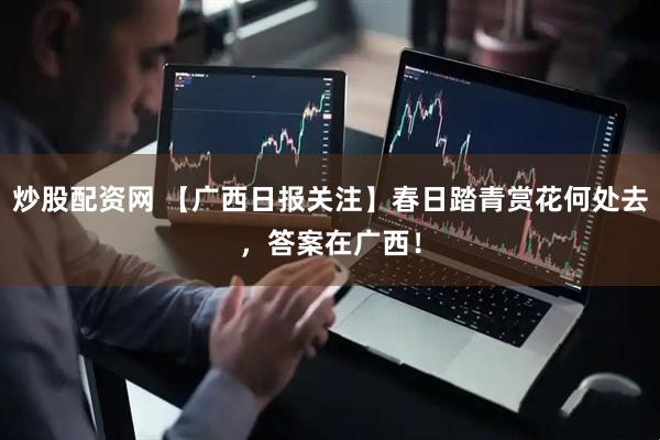 炒股配资网 【广西日报关注】春日踏青赏花何处去，答案在广西！